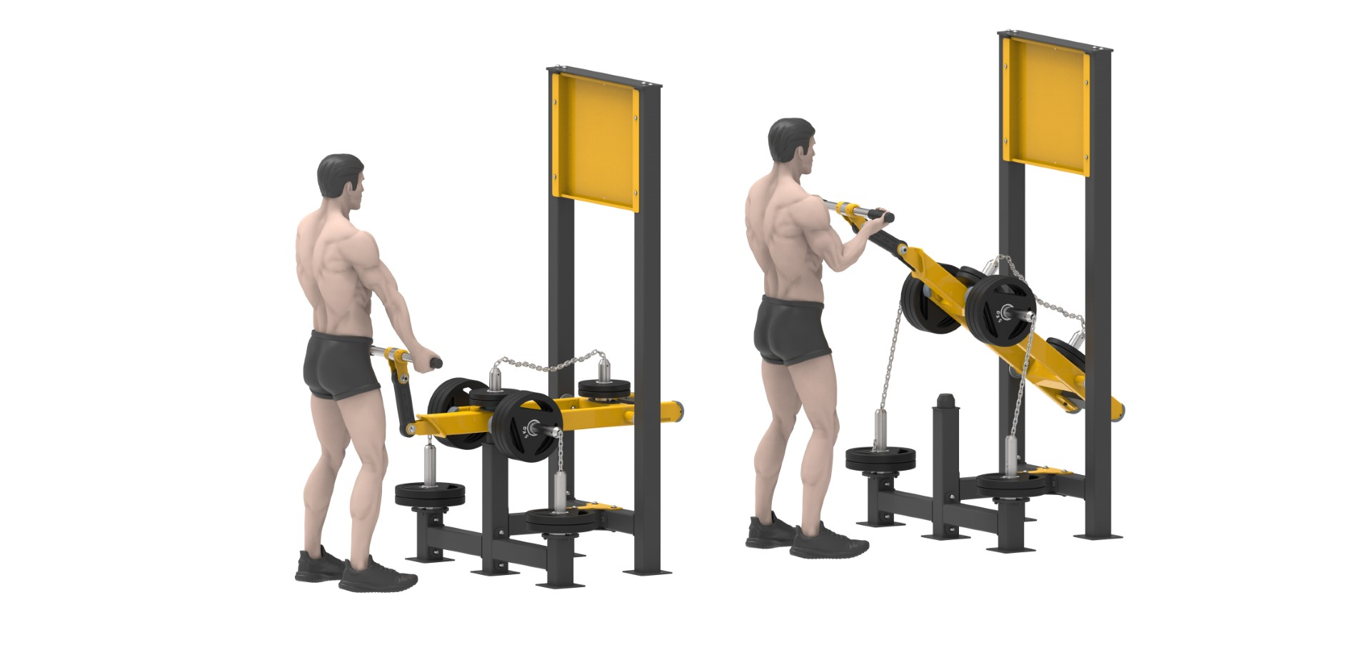AĞIRLIK PLAKALI FITNESS SERİSİ BICEPS CURL LDF 2190