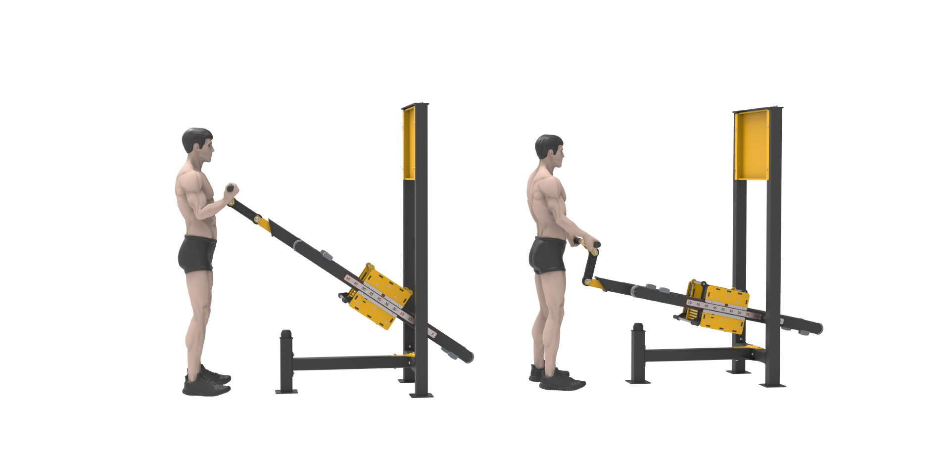 Fitness Series with Weight Lifting BICEPS CURL LKF 1220